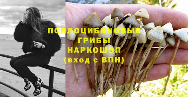 крисы Абинск