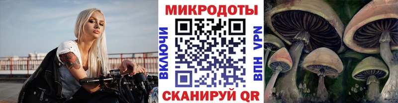 закладка  Никольск  Псилоцибиновые грибы прущие грибы 